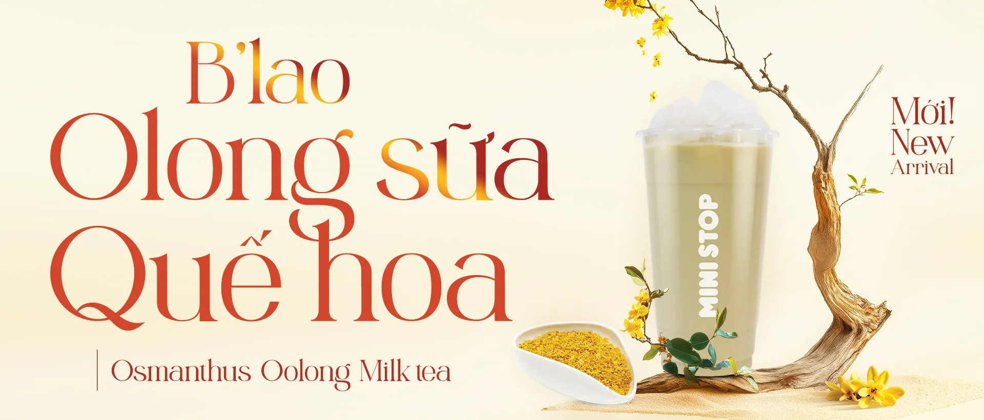 B'LAO OLONG SỮA QUẾ HOA🫶