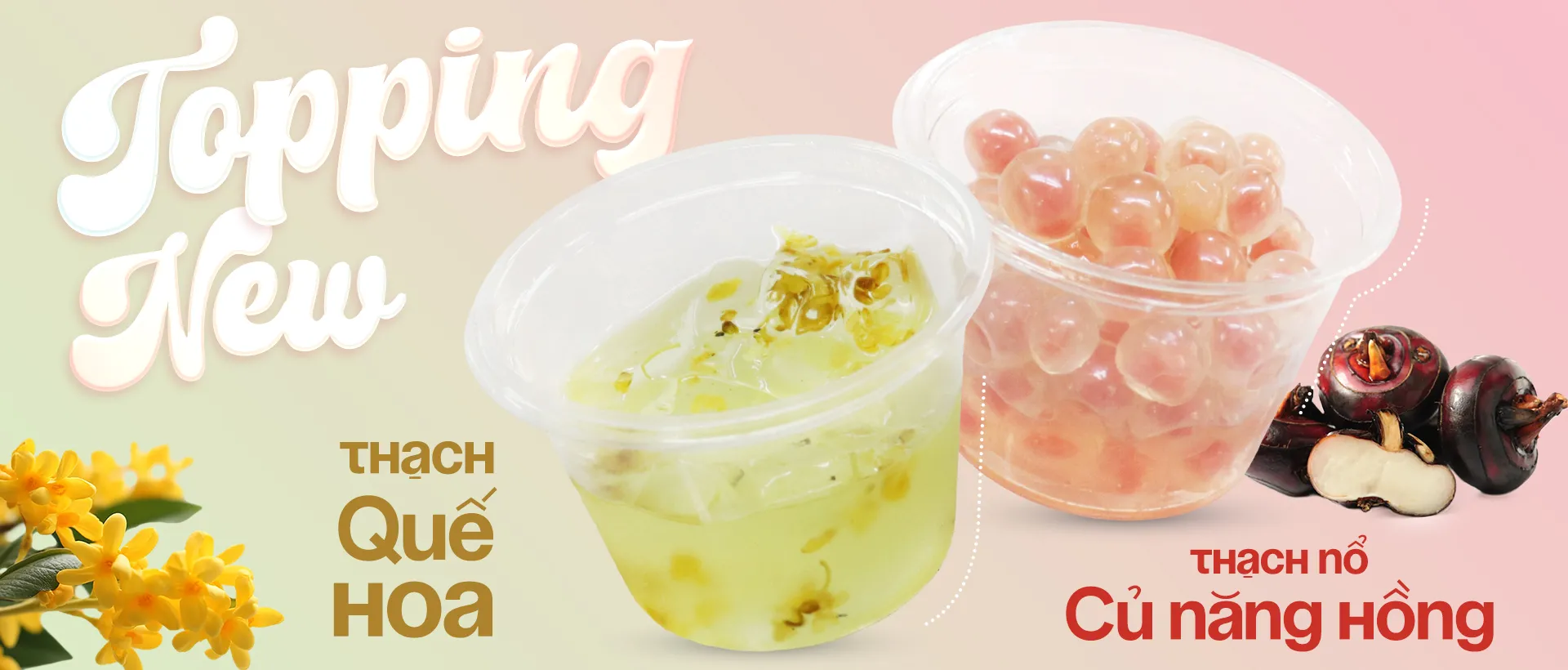 Check-in 2 new topping nhất định phải thử ở Mini ✨